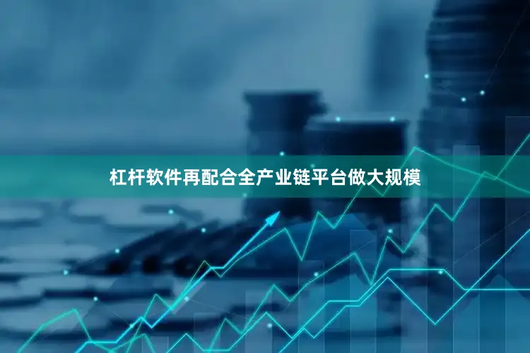 杠杆软件再配合全产业链平台做大规模