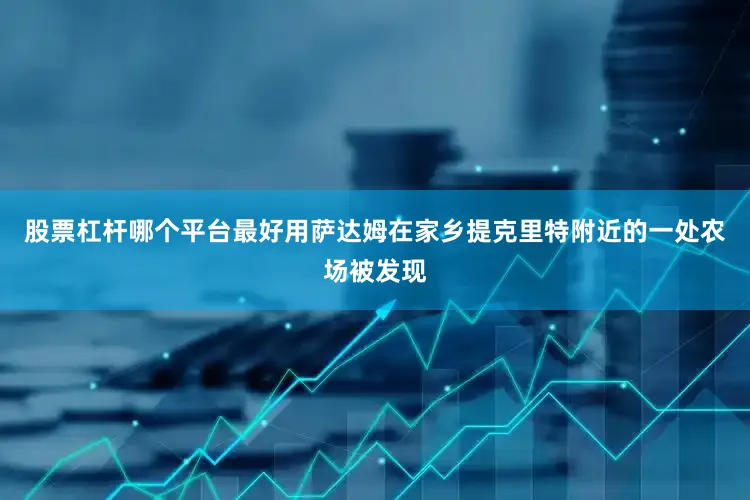 股票杠杆哪个平台最好用萨达姆在家乡提克里特附近的一处农场被发现