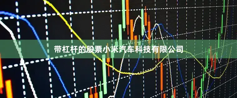 带杠杆的股票小米汽车科技有限公司