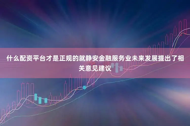 什么配资平台才是正规的就静安金融服务业未来发展提出了相关意见建议