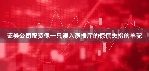 证券公司配资像一只误入演播厅的惊慌失措的羊驼